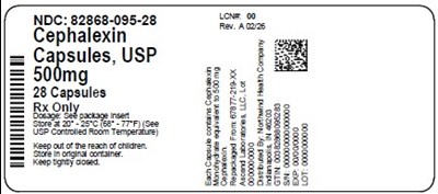 Label (82868 095 28   Rev A 02 26.pdf)